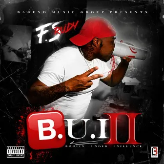 B.U.I 2 by F S Rudy