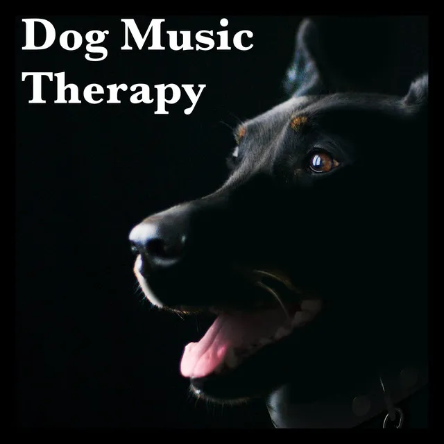 Dog Music Therapy