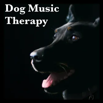 Dog Music Therapy by Diggity Dog Pet Music