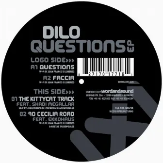 Questions EP by Dilo