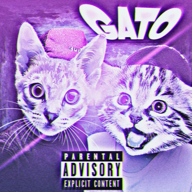 Gato - Sped Up