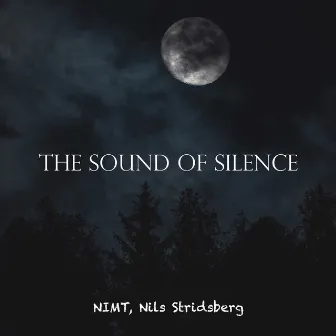 The Sound of Silence (Acoustic) by Unknown Artist