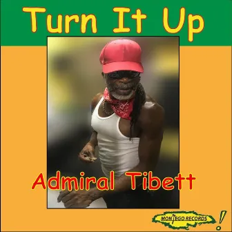 Turn It Up by Admiral Tibett