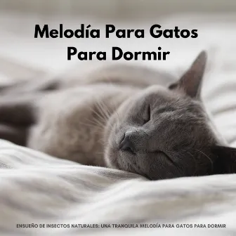 Ensueño De Insectos Naturales: Una Tranquila Melodía Para Gatos Para Dormir by Gato dormido