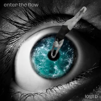 Enter the Flow by Logi B