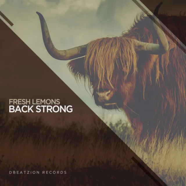 Back Strong - Original Mix