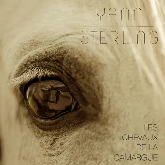 Les Chevaux de la Camargue by Yann Sterling