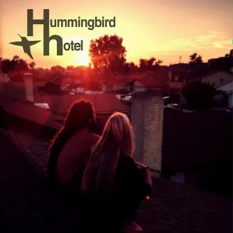 Can't Say by Hummingbird Hotel