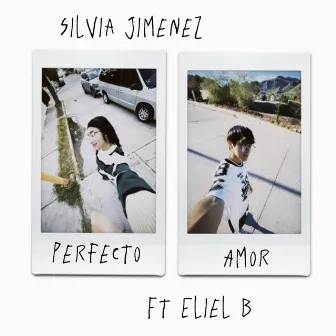 Perfecto Amor by Silvia Jimenez