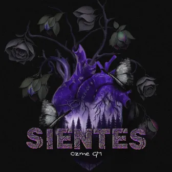 Sientes by Ozme GM