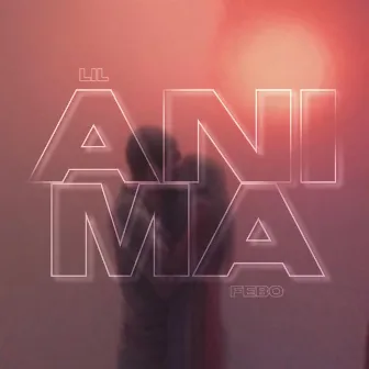 anima by lil