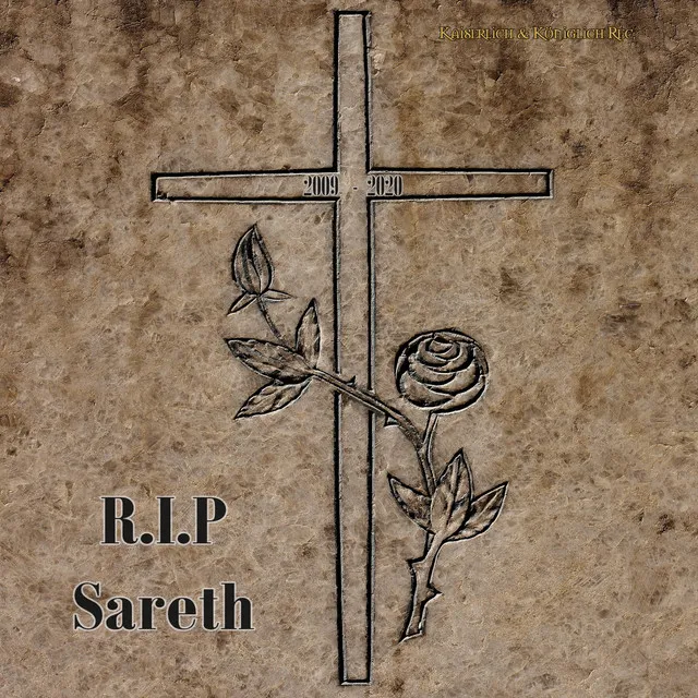 R.I.P Sareth