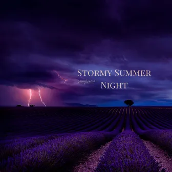 Stormy Summer Night by Samplestar