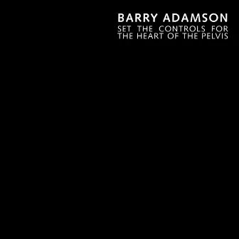 Set the Controls for the Heart of the Pelvis by Barry Adamson