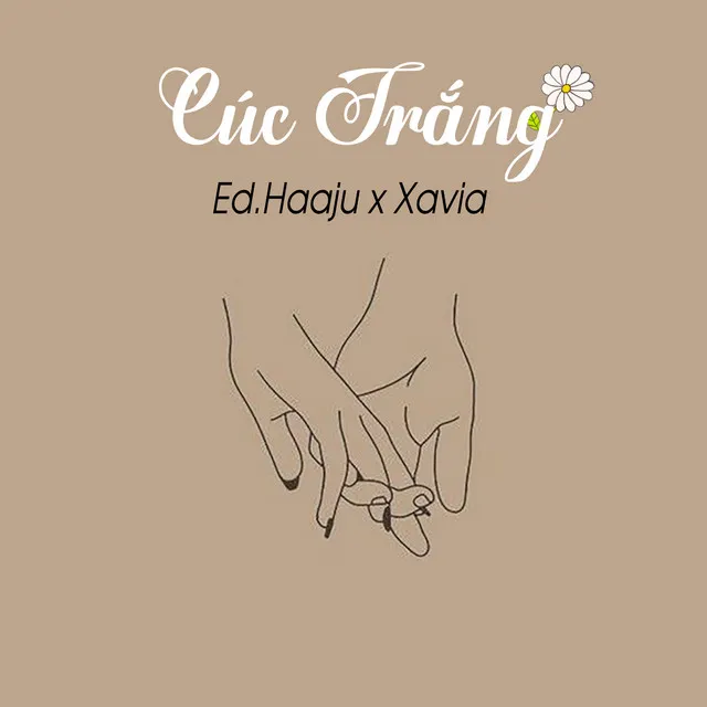 Cúc Trắng