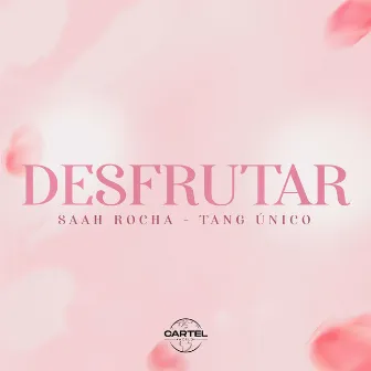 Desfrutar by MC Saah PL