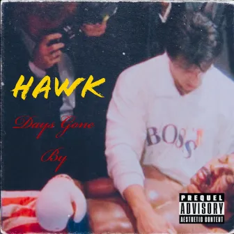 Days Gone By by HAWK