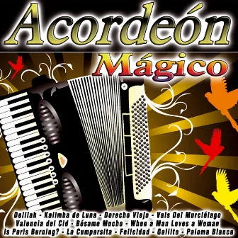 Acordeon Mágico by Valentin Movtosky