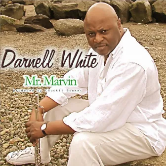 Mr. Marvin (feat. Chuckii Booker) - Single by Darnell White