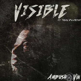 Visible by Ambush Vin