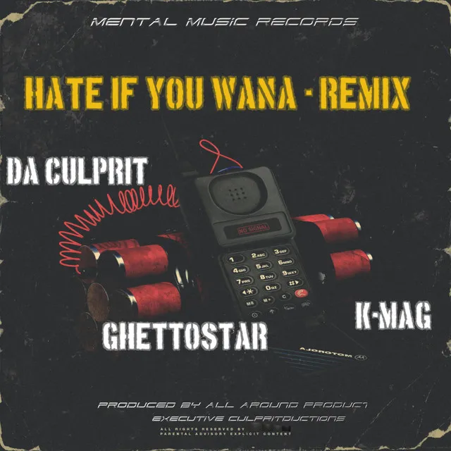 Hate If You Wanna - Remix