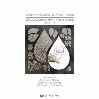 Slaapgebrek Remixes by Shawn Rubens