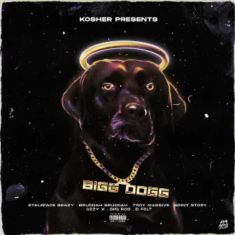 Kosher Presents : Bigg Dogg by Apt.1026