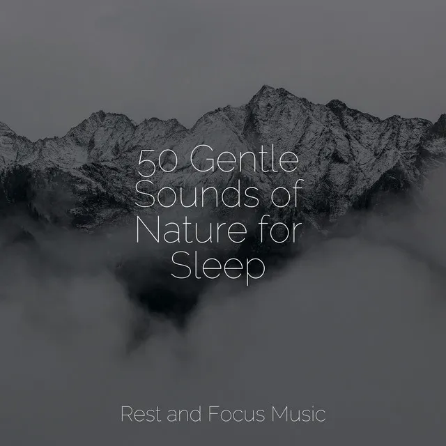 50 Gentle Sounds of Nature for Sleep