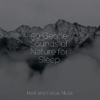 50 Gentle Sounds of Nature for Sleep by Spa Isochronic Tones Lab