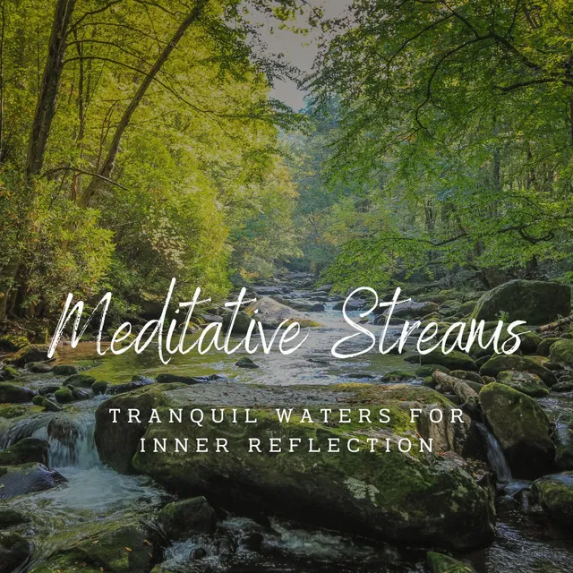 Stream's Path to Mindful Stillness