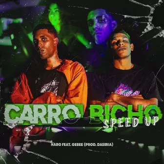 Carro Bicho (Speedup) [Remix] by Haro Mc