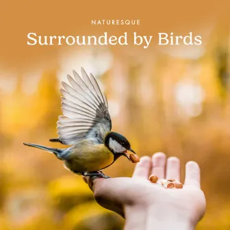 Surrounded by Birds by Naturesque