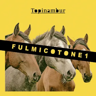 Fulmicotone 1 by Topinambur