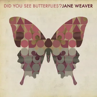 Did You See Butterflies? by Jane Weaver