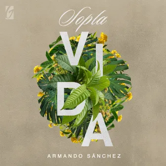 Sopla Vida (Live) by Armando Sánchez