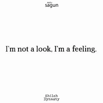 I'm not a look, I'm a feeling. by sagun