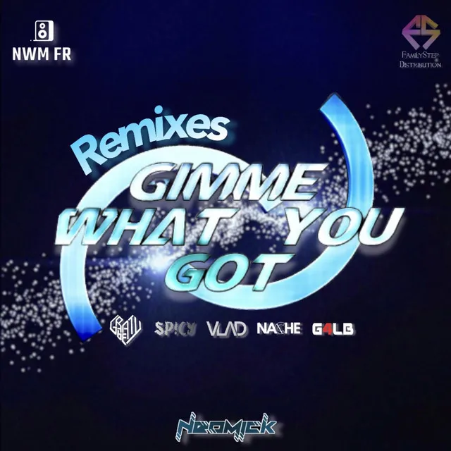 Gimme What You Got (VLADvulpes Remix)