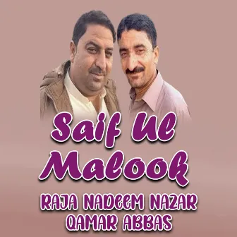 Saif Ul Malook by Qamar Abbas