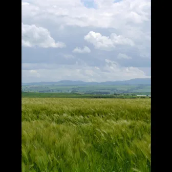 Derry Air,Tripping Upstairs, Wind That Shakes the Barley by Jon Mills