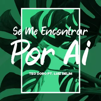 Se Me Encontrar Por Ai by Teo Doro