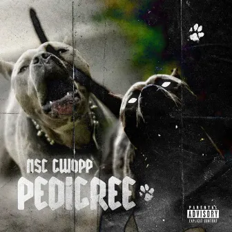 Pedigree by NSC Gwopp