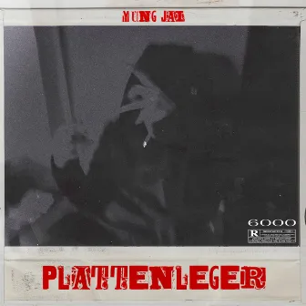 PLATTENLEGER by yung jai