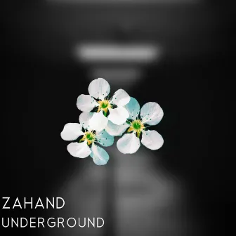 Underground by Zahand