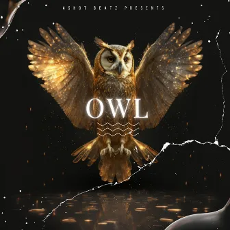 Owl by Ashot Beatz