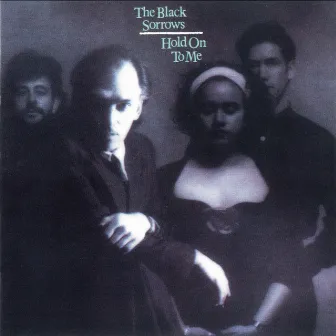 Hold On To Me by The Black Sorrows