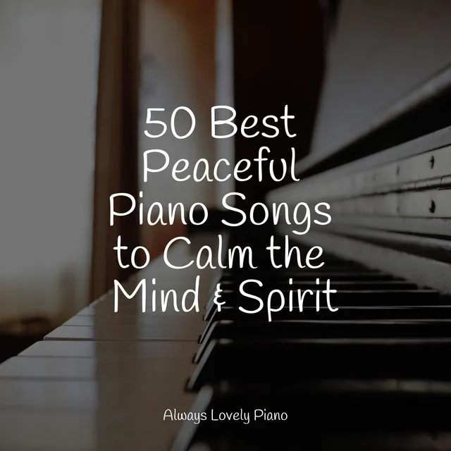 Calming Piano Melodies for Working and Studying