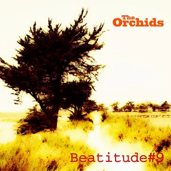 Beatitude #9 by The Orchids