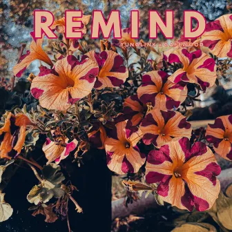 Remind by Gaffwood