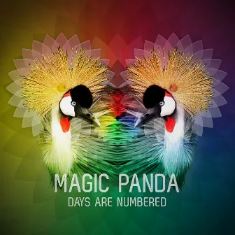 Days Are Numbered EP by Magic Panda