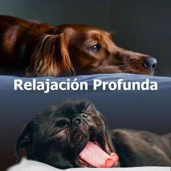 Relajación Profunda by Relajado Musica Relajante para Perros